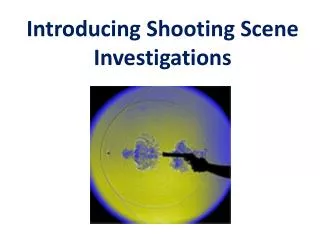 Introducing Shooting Scene Investigations