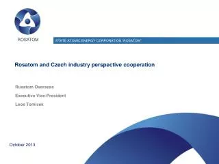 Rosatom and Czech industry perspective cooperation