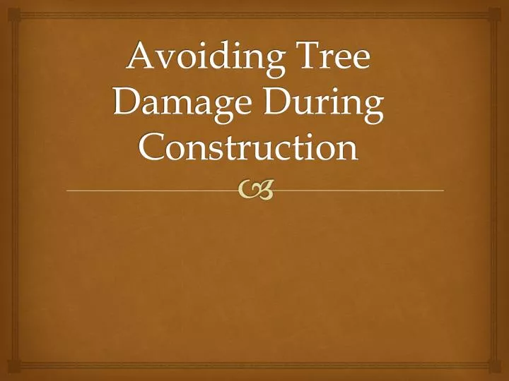 avoiding tree damage during construction