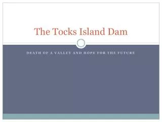 The Tocks Island Dam