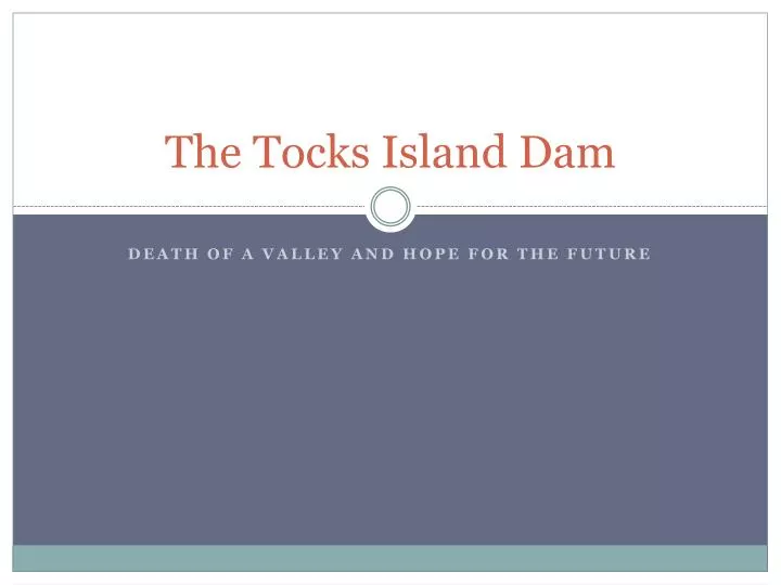 the tocks island dam