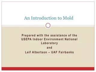 An Introduction to Mold