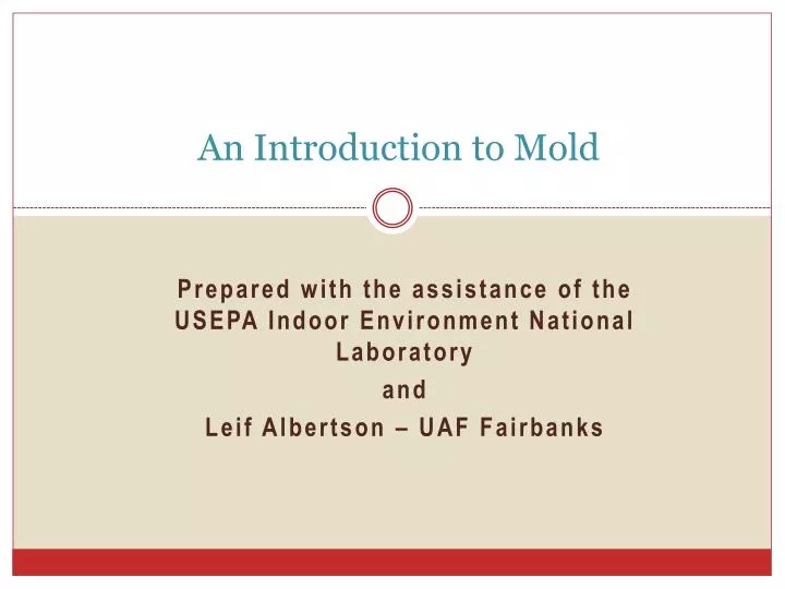 an introduction to mold