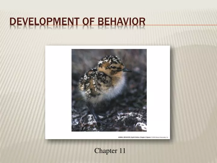 development of behavior