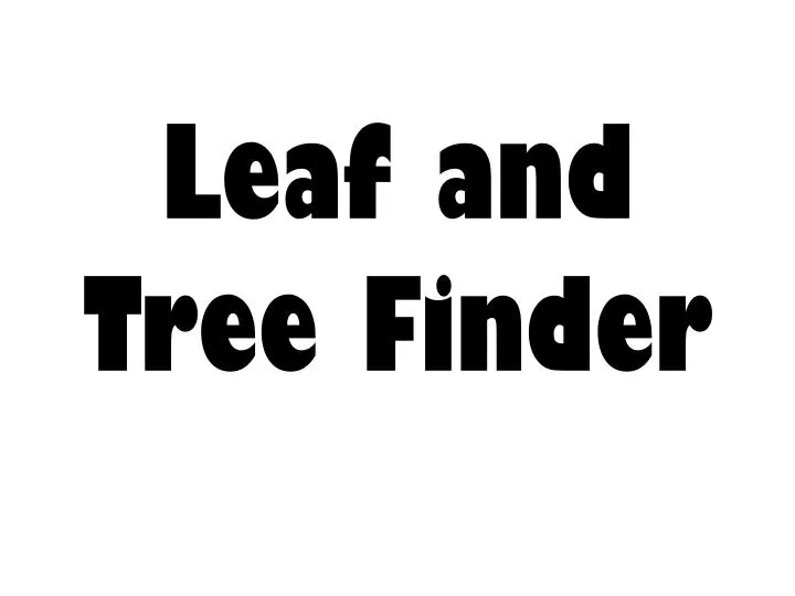 leaf and tree finder