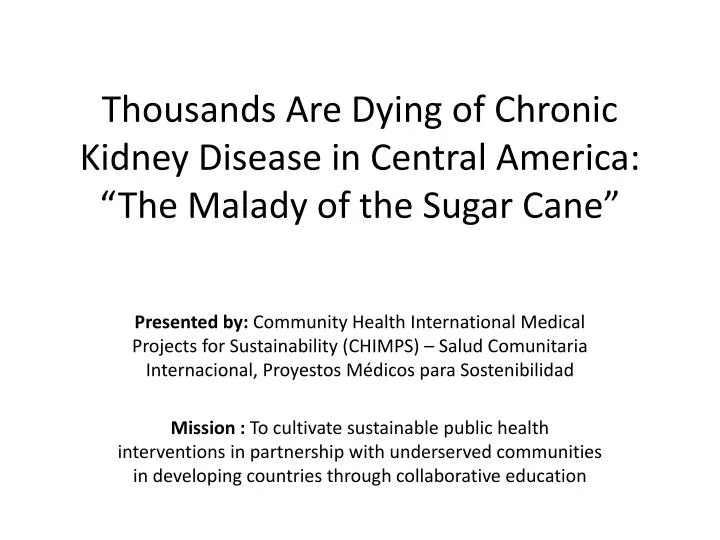thousands are dying of chronic kidney disease in central america the malady of the sugar cane