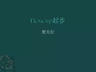FlexCup ??
