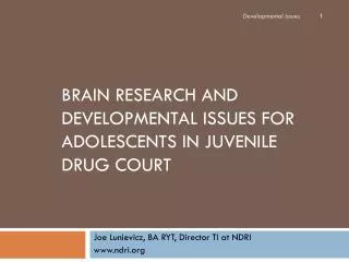 Brain Research and Developmental Issues for adolescents in juvenile drug court