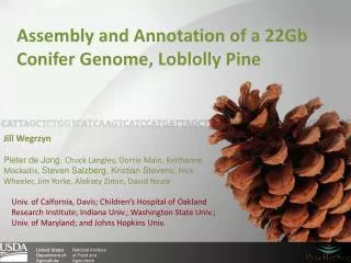 Assembly and Annotation of a 22Gb C onifer G enome, Loblolly Pine