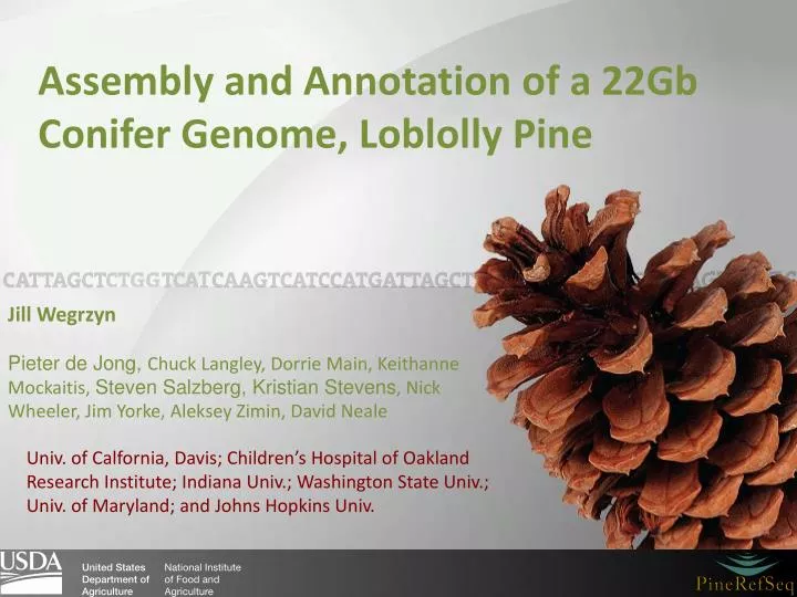 assembly and annotation of a 22gb c onifer g enome loblolly pine