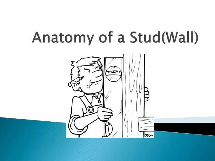 anatomy of a stud wall
