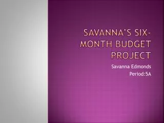 Savanna’s Six-Month Budget Project