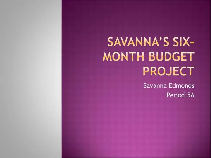 savanna s six month budget project