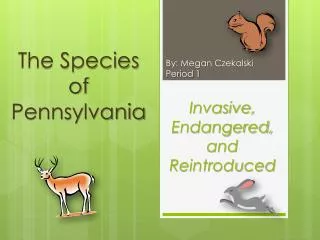 The Species of Pennsylvania