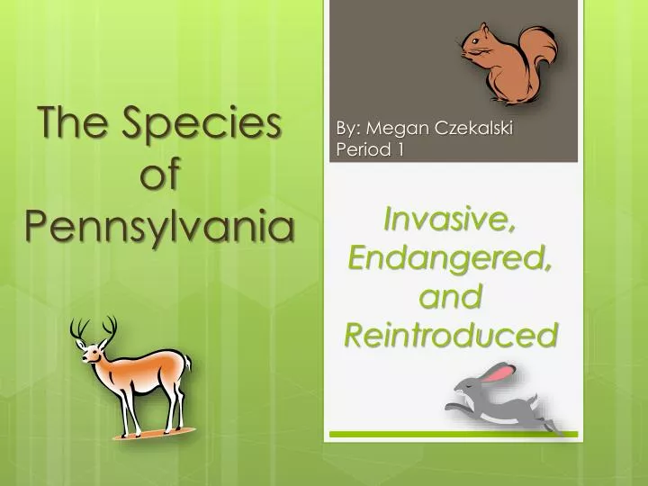 the species of pennsylvania