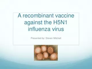 A recombinant vaccine against the H5N1 influenza virus