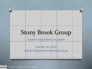 Stony Brook Group