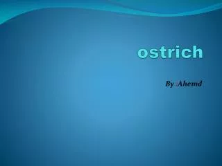 ostrich