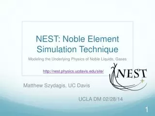NEST : Noble Element Simulation Technique