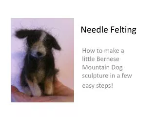 Needle Felting