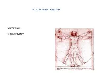 Bio 322- Human Anatomy