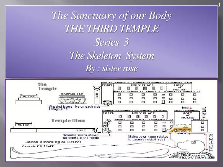 the sanctuary of our body the third temple series 3 the skeleton system by sister rose