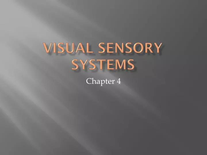 visual sensory systems