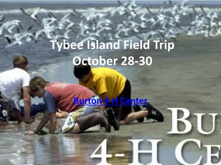 tybee island field trip october 28 30