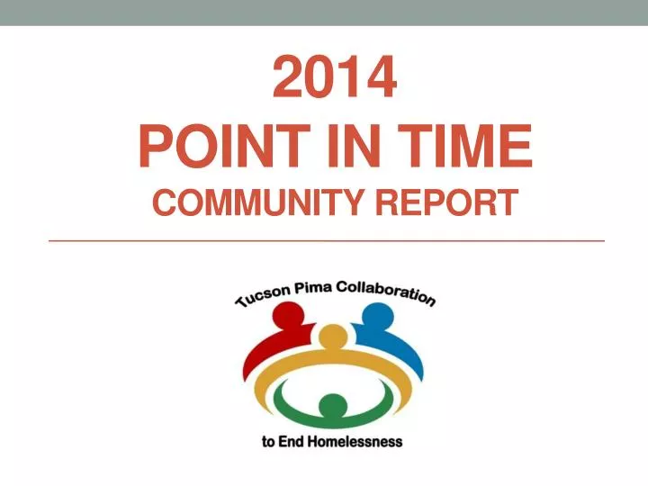 2014 point in time community report