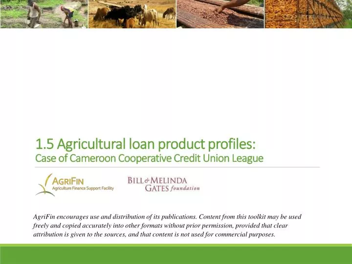 1 5 agricultural loan product profiles case of cameroon cooperative credit union league