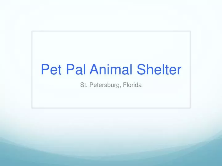 pet pal animal shelter