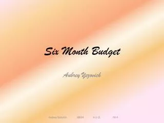 Six Month Budget