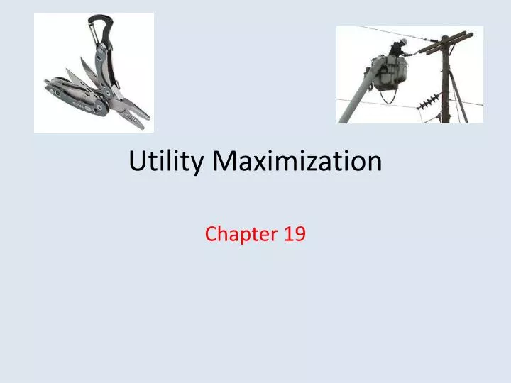 utility maximization