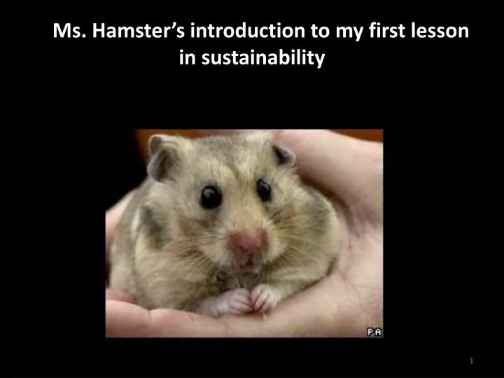 a ms hamster s introduction to my first lesson in sustainability