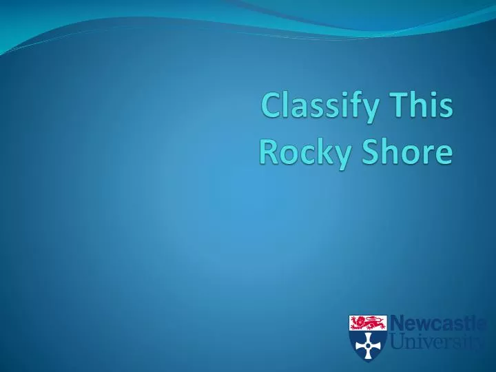 classify this rocky shore