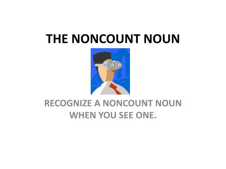 the noncount noun