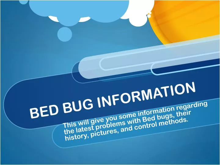 bed bug information