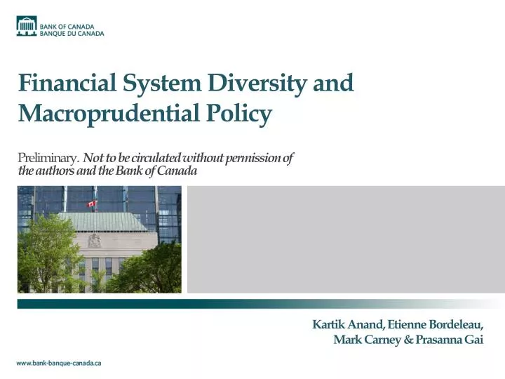 financial system diversity and macroprudential policy