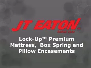 Lock-Up™ Premium Mattress, Box Spring and Pillow Encasements