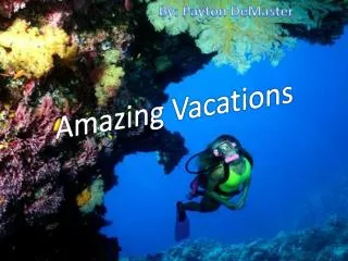 Amazing Vacations