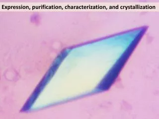 Expression, purification, characterization, and crystallization