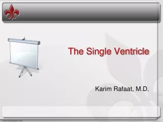 The Single Ventricle