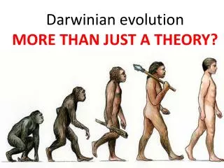Darwinian evolution MORE THAN JUST A THEORY?