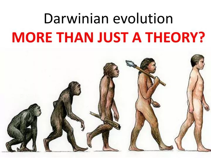 darwinian evolution more than just a theory