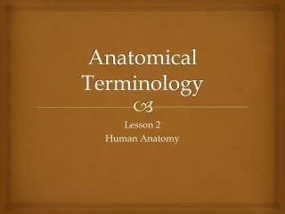 Anatomical Terminology