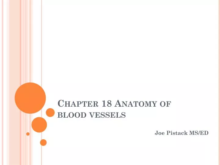 chapter 18 anatomy of blood vessels