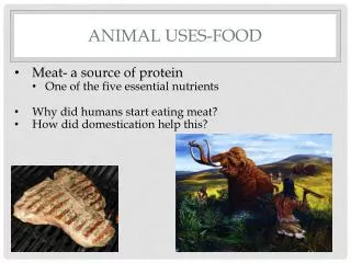 Animal Uses-Food