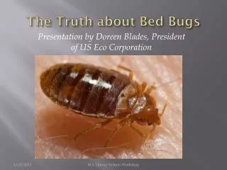 The Truth about Bed Bugs