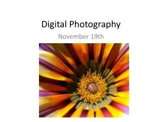 Digital Photography