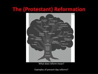The (Protestant) Reformation